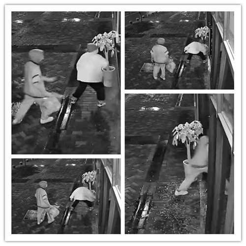 煙酒超市暴力破門(mén)入室盜竊頻發(fā),AI智能安防系統(tǒng)給出解決方案