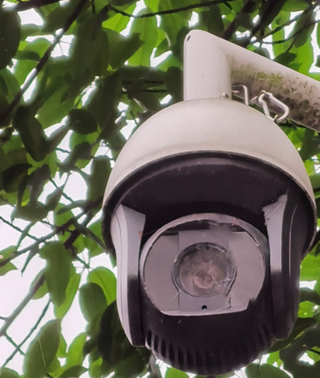 AI視頻聯(lián)網(wǎng)報(bào)警系統(tǒng)提示：湖景雖美，但請遠(yuǎn)離堤岸|峨眉山|峨秀湖|戶外監(jiān)控球機(jī)