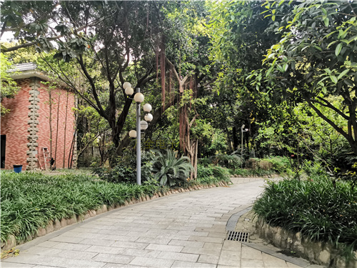 地下停車場、大型倉庫，如何解決大場景下的監(jiān)控需求