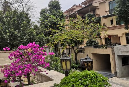 小區(qū)屢被&ldquo;光顧&rdquo;，居家安全小區(qū)安防請(qǐng)多加重視